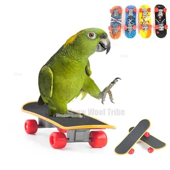 Игрушки для птиц веселых мини-скейтборд скейтборд обучение волнистых попугаев попугай игрушки попугай игрушка роста Пахарос интеллект птиц аксессуары